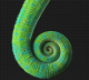 Avatar de Xehif